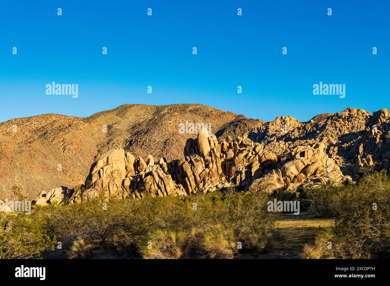 Formations rocheuses inhabituelles ; terrain de camping Indian Cove ; parc national Joshua Tree ; Californie du Sud ; États-Unis Banque D'Images