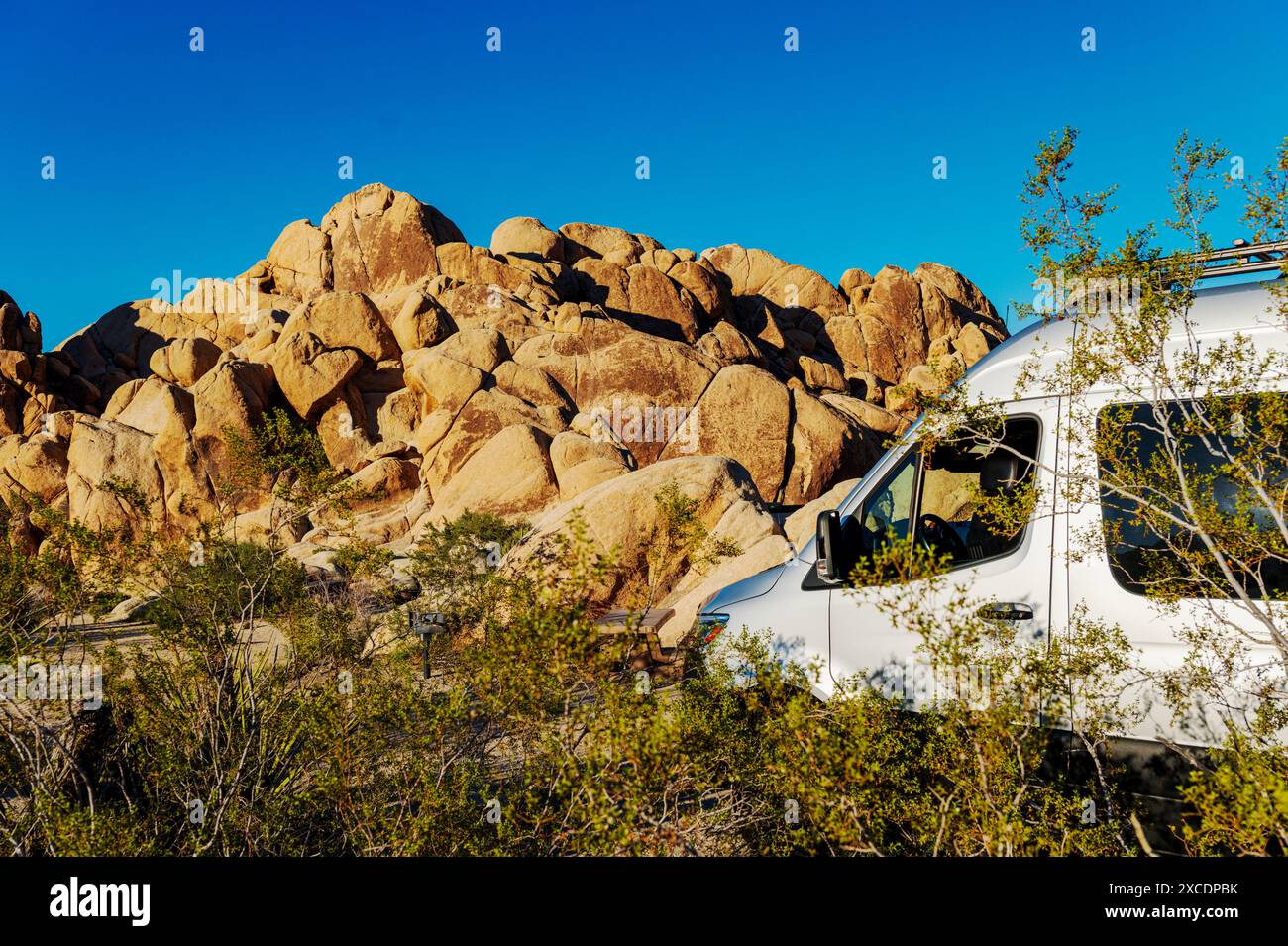 Camping-car Airstream Interstate 24X ; terrain de camping Indian Cove ; parc national Joshua Tree ; Californie du Sud ; États-Unis Banque D'Images
