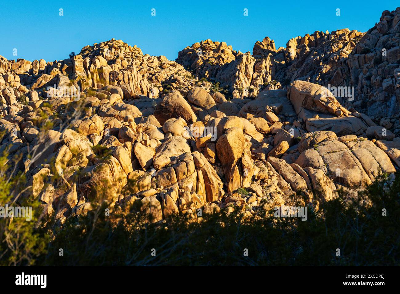Formations rocheuses inhabituelles ; terrain de camping Indian Cove ; parc national Joshua Tree ; Californie du Sud ; États-Unis Banque D'Images