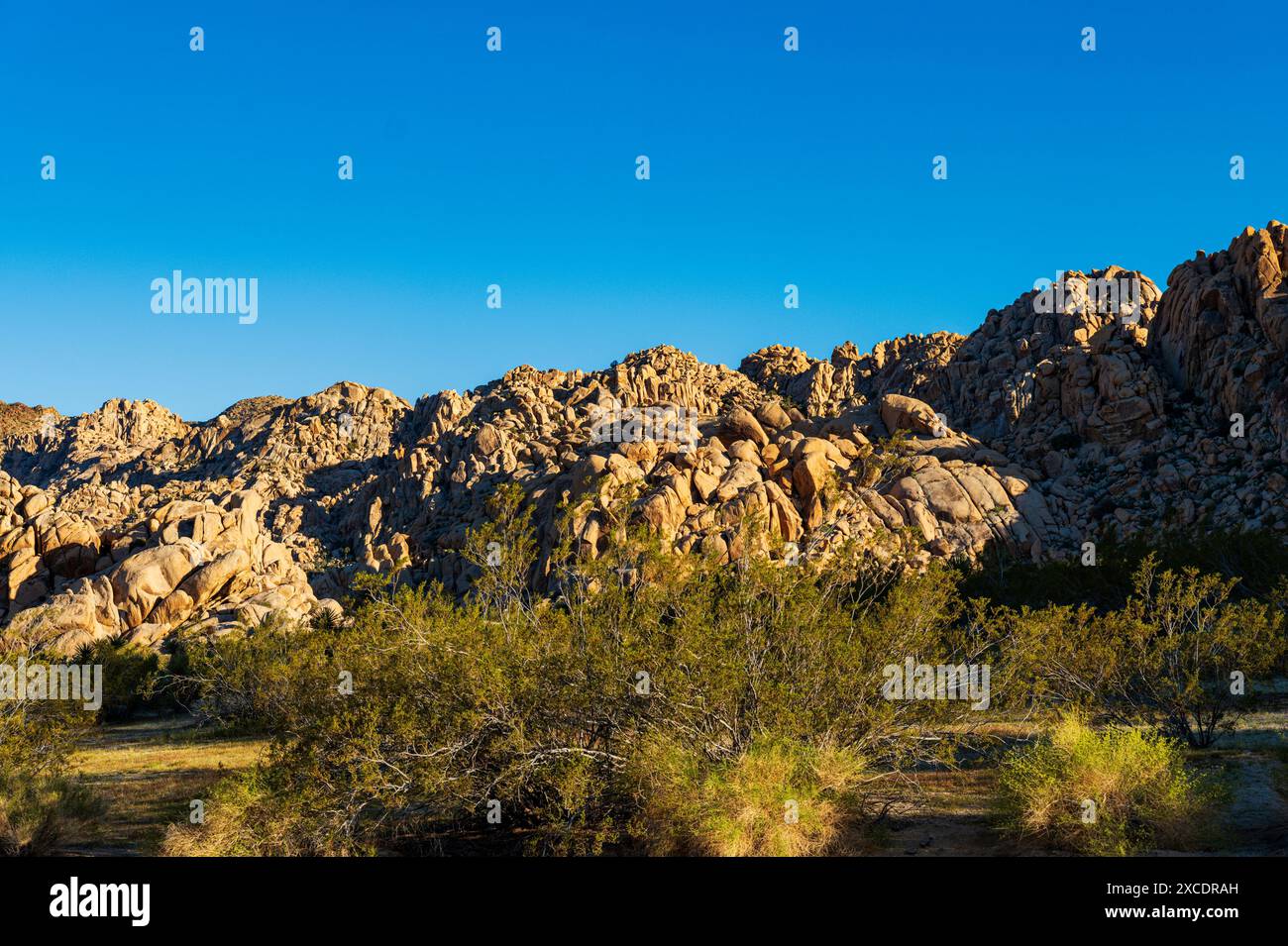 Formations rocheuses inhabituelles ; terrain de camping Indian Cove ; parc national Joshua Tree ; Californie du Sud ; États-Unis Banque D'Images