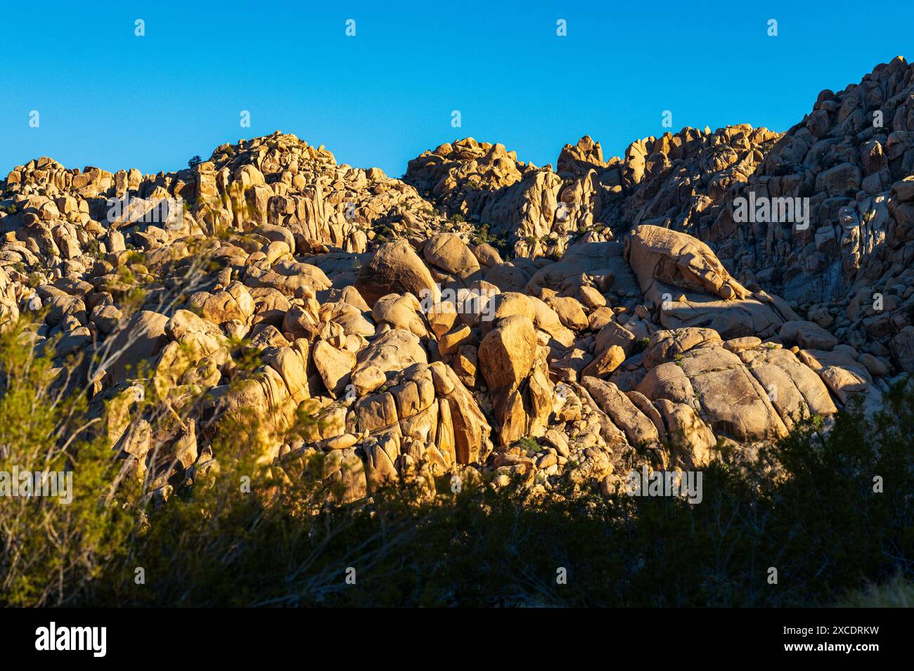 Formations rocheuses inhabituelles ; terrain de camping Indian Cove ; parc national Joshua Tree ; Californie du Sud ; États-Unis Banque D'Images