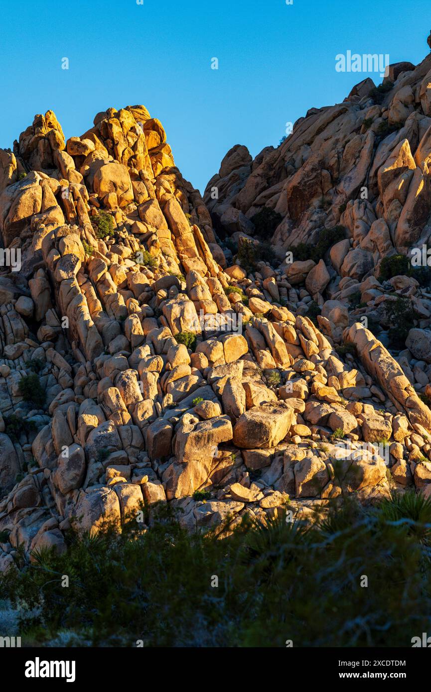 Formations rocheuses inhabituelles ; terrain de camping Indian Cove ; parc national Joshua Tree ; Californie du Sud ; États-Unis Banque D'Images