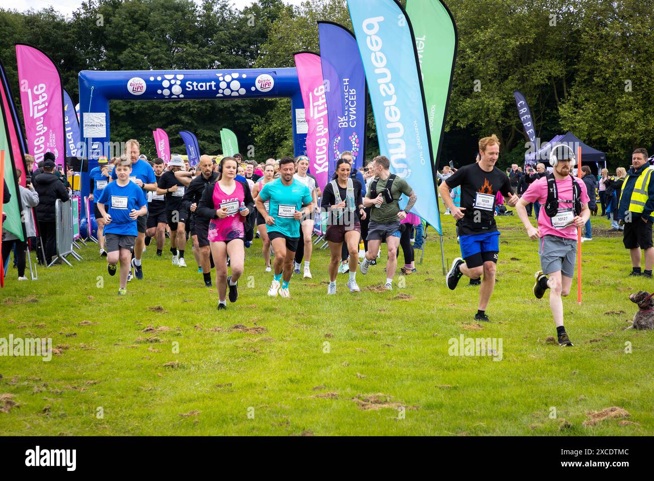 Warrington, Cheshire, Royaume-Uni. 16 juin 2024. La course annuelle de 10 km « Race for Life » en soutien à cancer Research UK s'est tenue à Victoria Park, Warrington. La course commence. Crédit : John Hopkins/Alamy Live News Banque D'Images