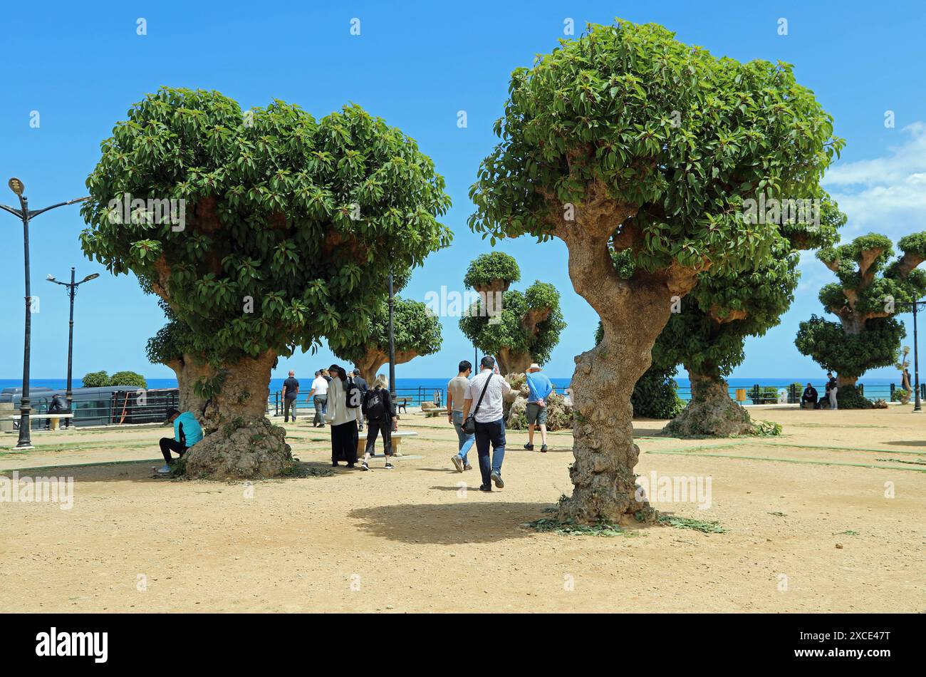 Touristes à Cherchell en Algérie Banque D'Images Touristes à Cherchell en Algérie Banque D'Images