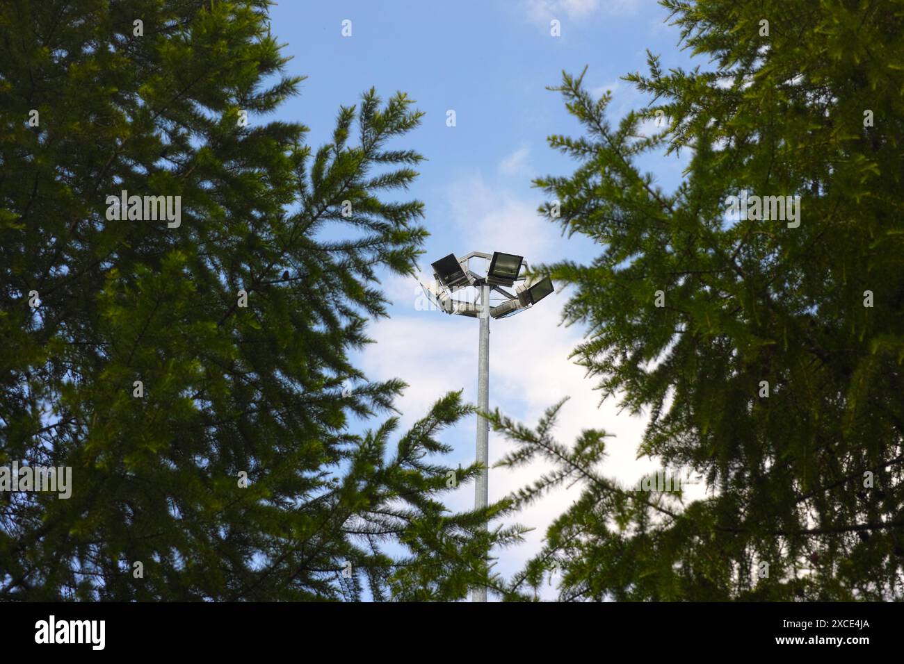 Un poteau avec des projecteurs de lumière avec des branches de mélèze au premier plan Banque D'Images