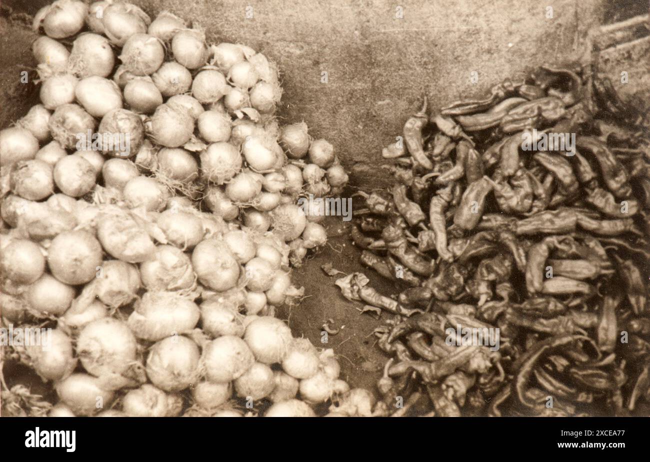 Photo tirée de l'album du voyage en Algérie de la famille juive milanaise au milieu des années trente. En particulier, la photo montre des légumes vendus le long d'une des ruelles de la Kasbah d'Alger Banque D'Images