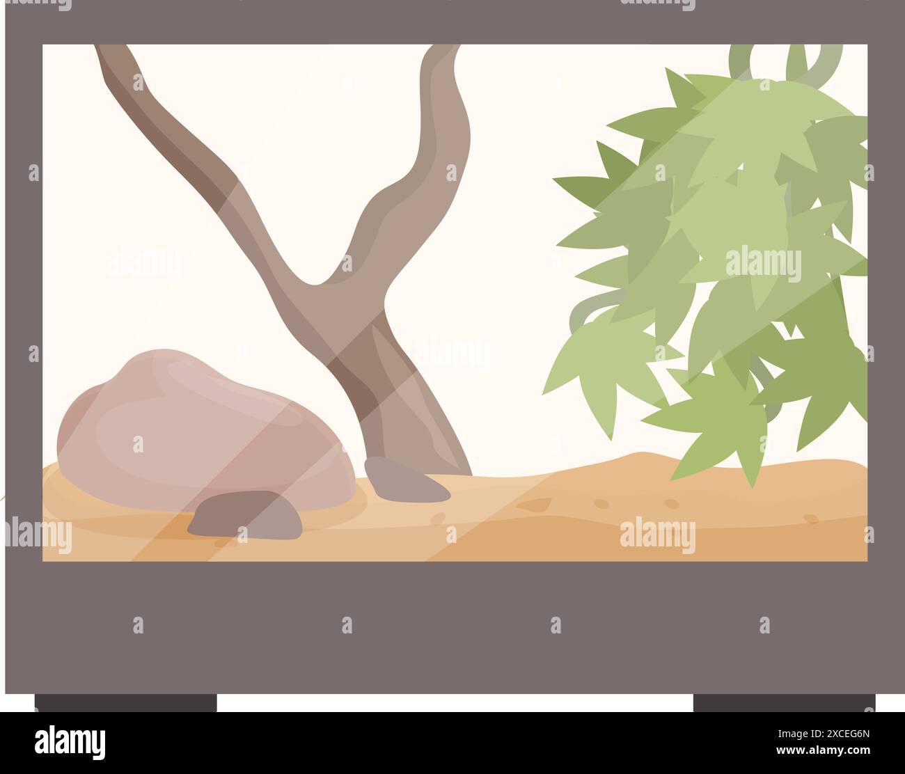 Terrarium vide avec sable, branche et plante attend son habitant reptile Illustration de Vecteur