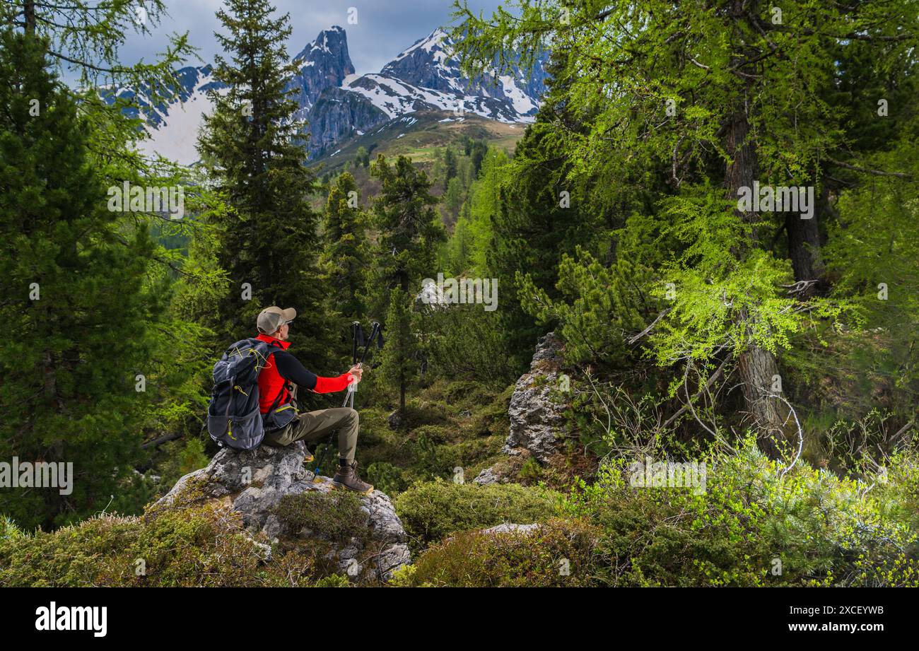Un randonneur fait une pause sur un sentier de montagne, admirant la vue imprenable sur les sommets enneigés au loin. Une végétation luxuriante les entoure, créant un Ser Banque D'Images