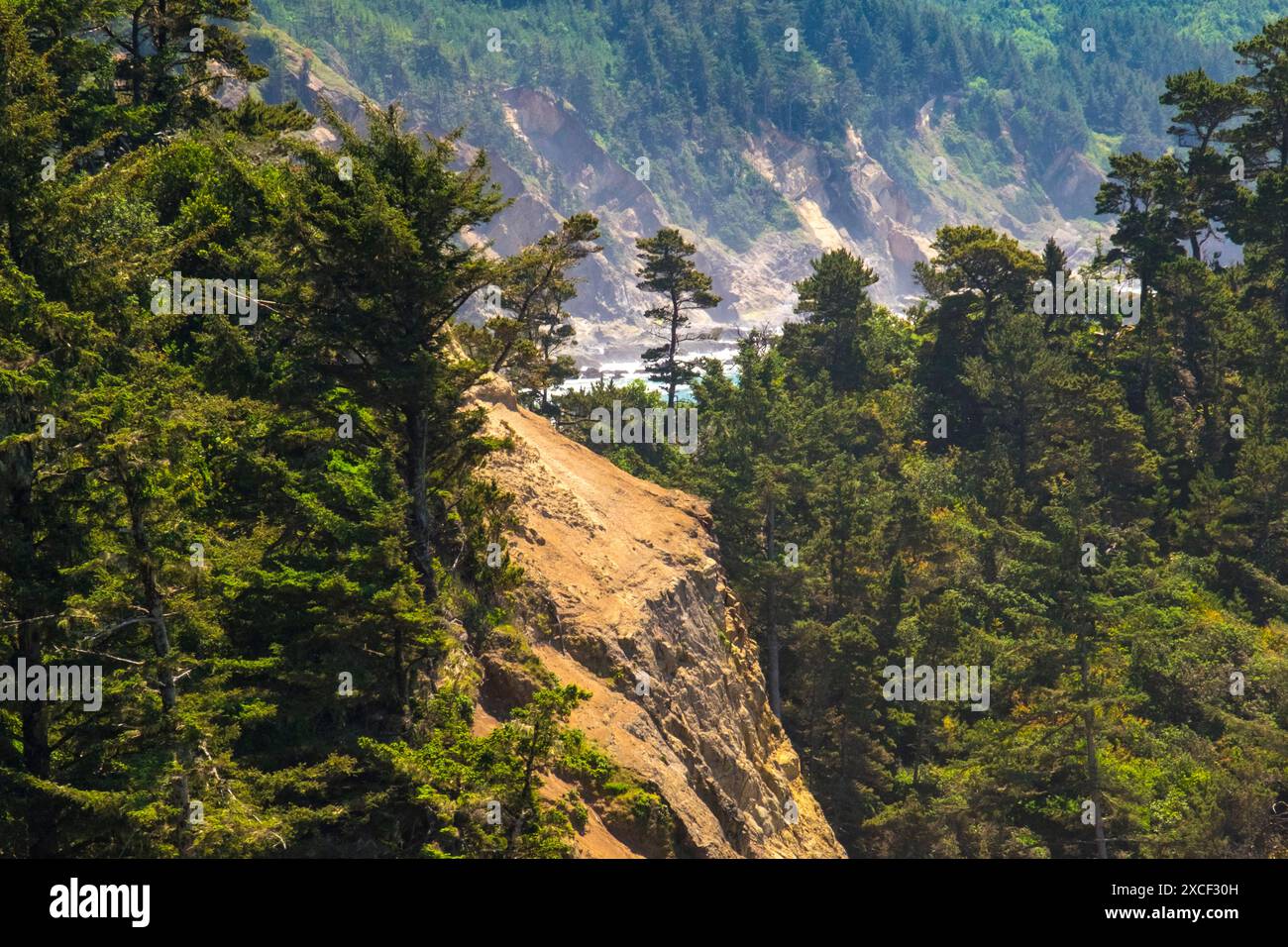 Cape Arago State Park, comté de Coos, Oregon, États-Unis. Banque D'Images