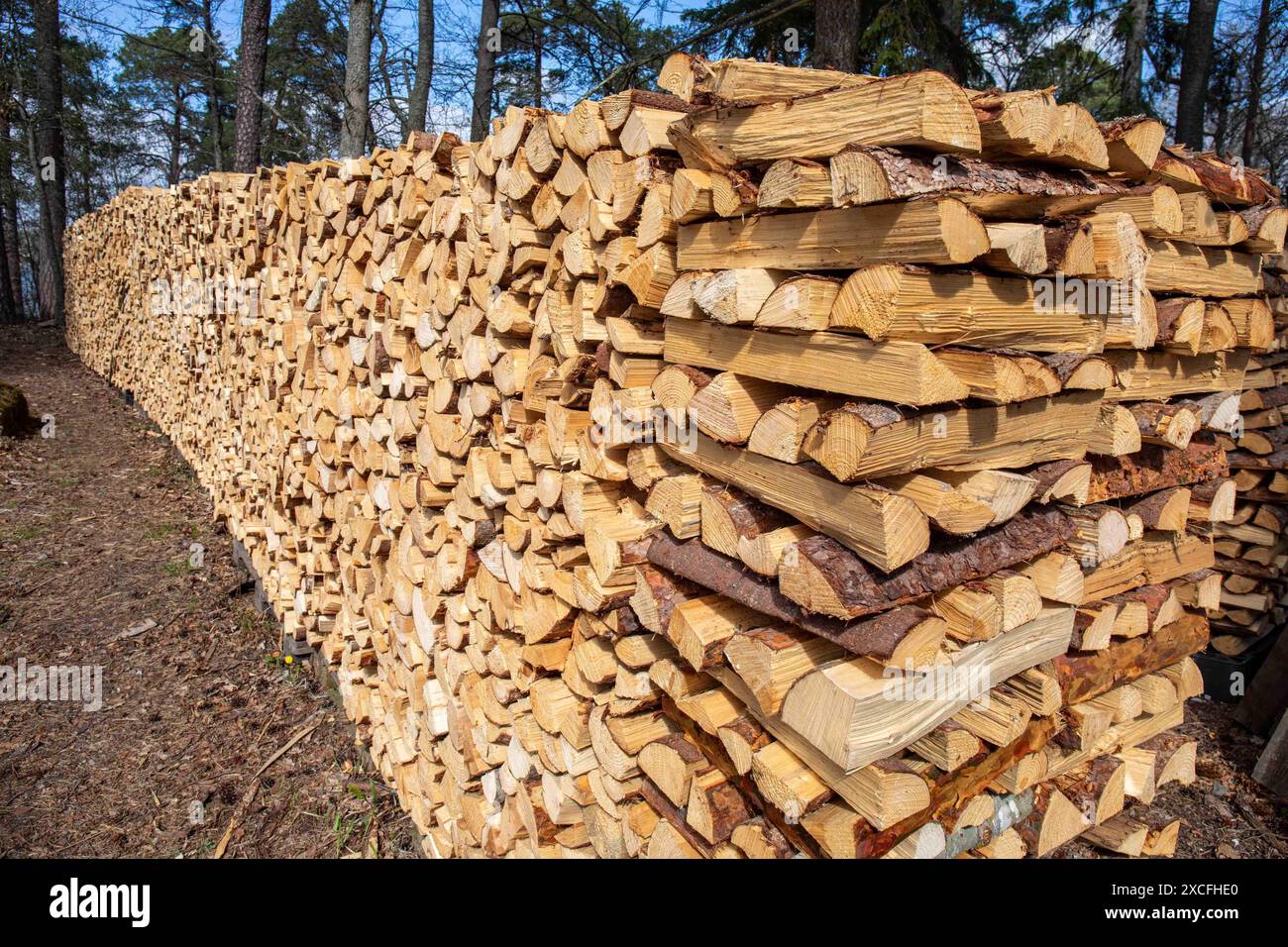 Longue pile de bois de chauffage soigneusement empilé dans le district de Ruissalo à Turku, Finlande Banque D'Images