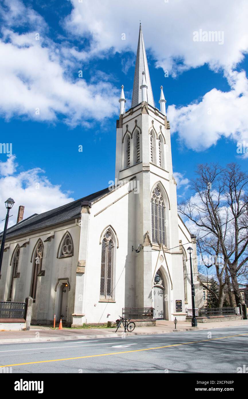 Basilique Saint Mary's Cathedral dans le centre-ville de Halifax, Nouvelle-Écosse, Canada Banque D'Images