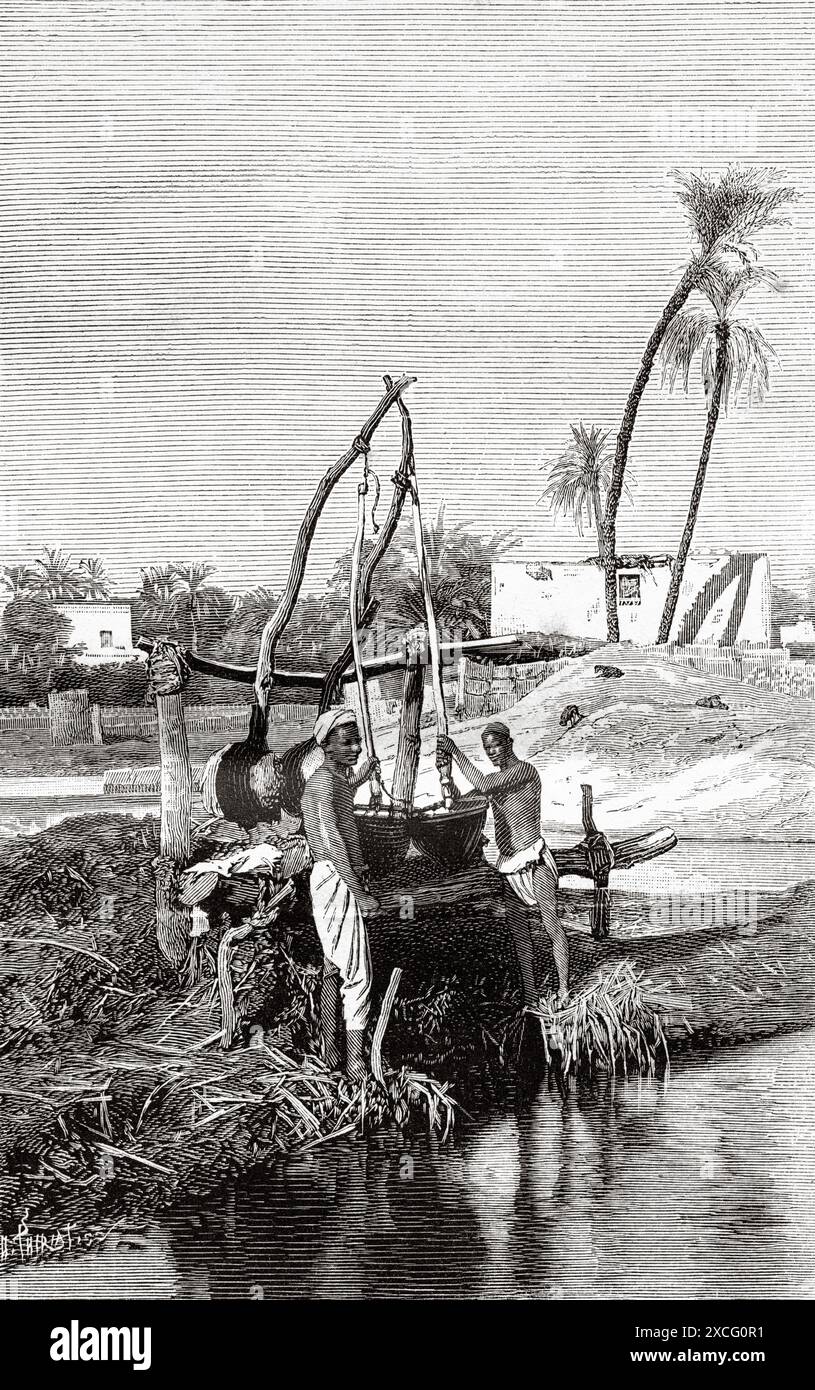 Vieux Shaduf pour l'irrigation sur le fleuve Nil, Egypte. Ancienne illustration gravée du XIXe siècle de la nature 1886 Banque D'Images