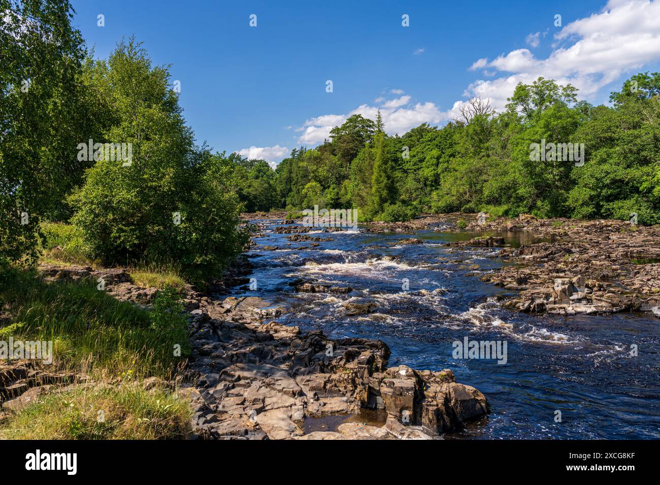 Pennine Way et River Tees entre Low Force et High Force, près de Bowlees, comté de Durham, Angleterre, Royaume-Uni Banque D'Images