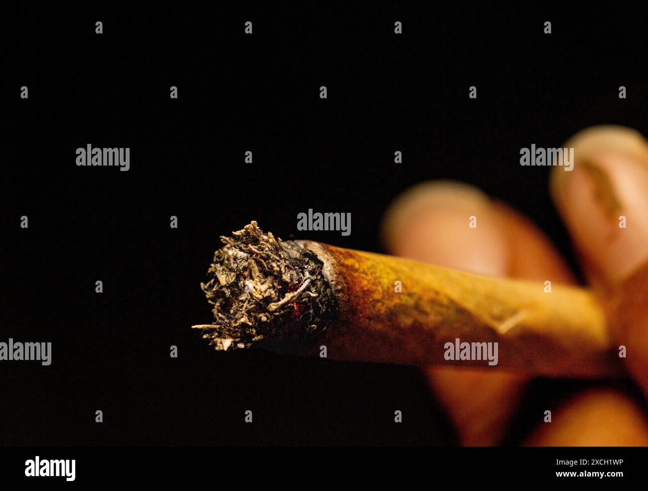 Plan macro d'une cigarette roulée allumée isolée sur le fond noir avec peu de flamme. Banque D'Images