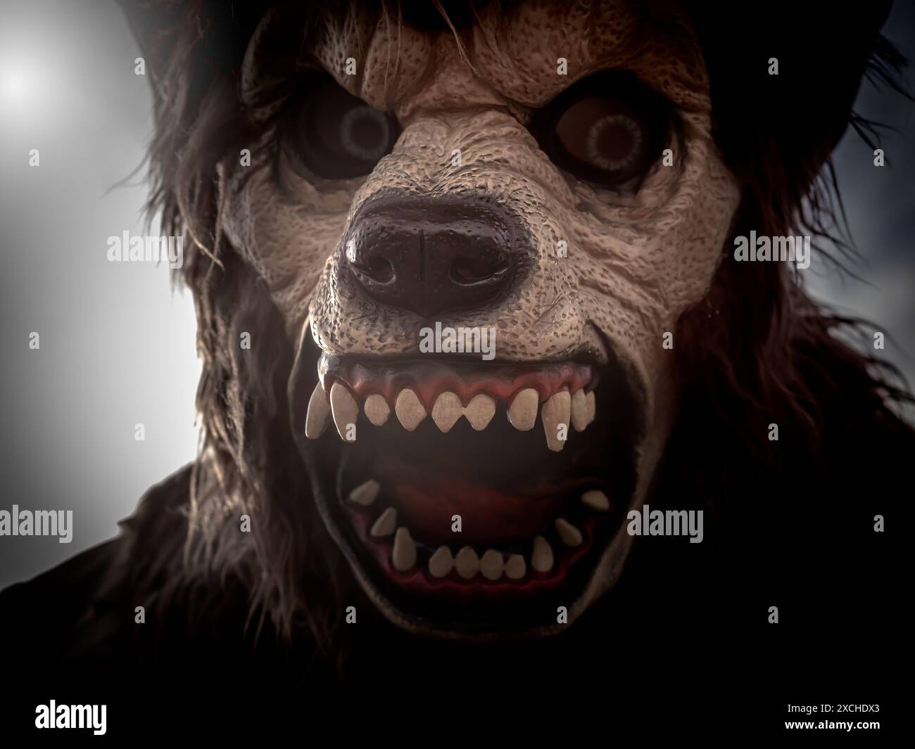 Portrait en gros plan d'un masque de loup-garou artificiel, avec un visage d'expression féroce. Tête de loup humain bouche ouverte avec des dents pointues sur la nuit de pleine lune, sce sombre Banque D'Images