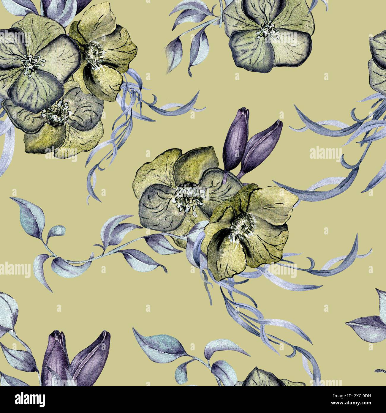 Aquarelle fleurs vert foncé et feuillage isolé sur gris. Motif floral gothique sans couture dessiné. Emballage d'art botanique avec hellebore, feuilles Banque D'Images