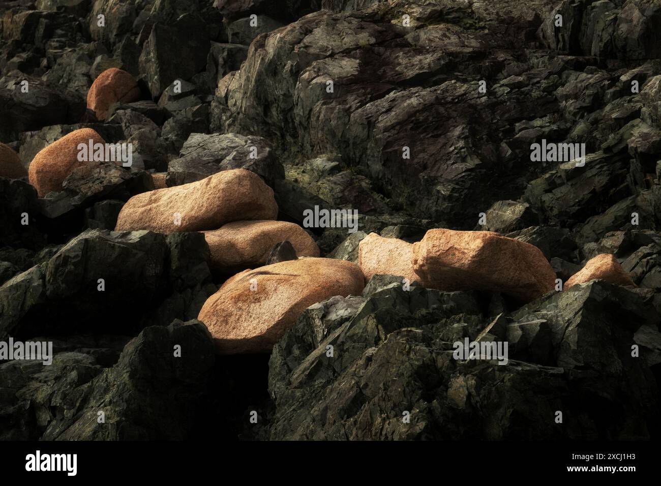 Rochers riverains. Parc national d'Acadia, Maine Banque D'Images