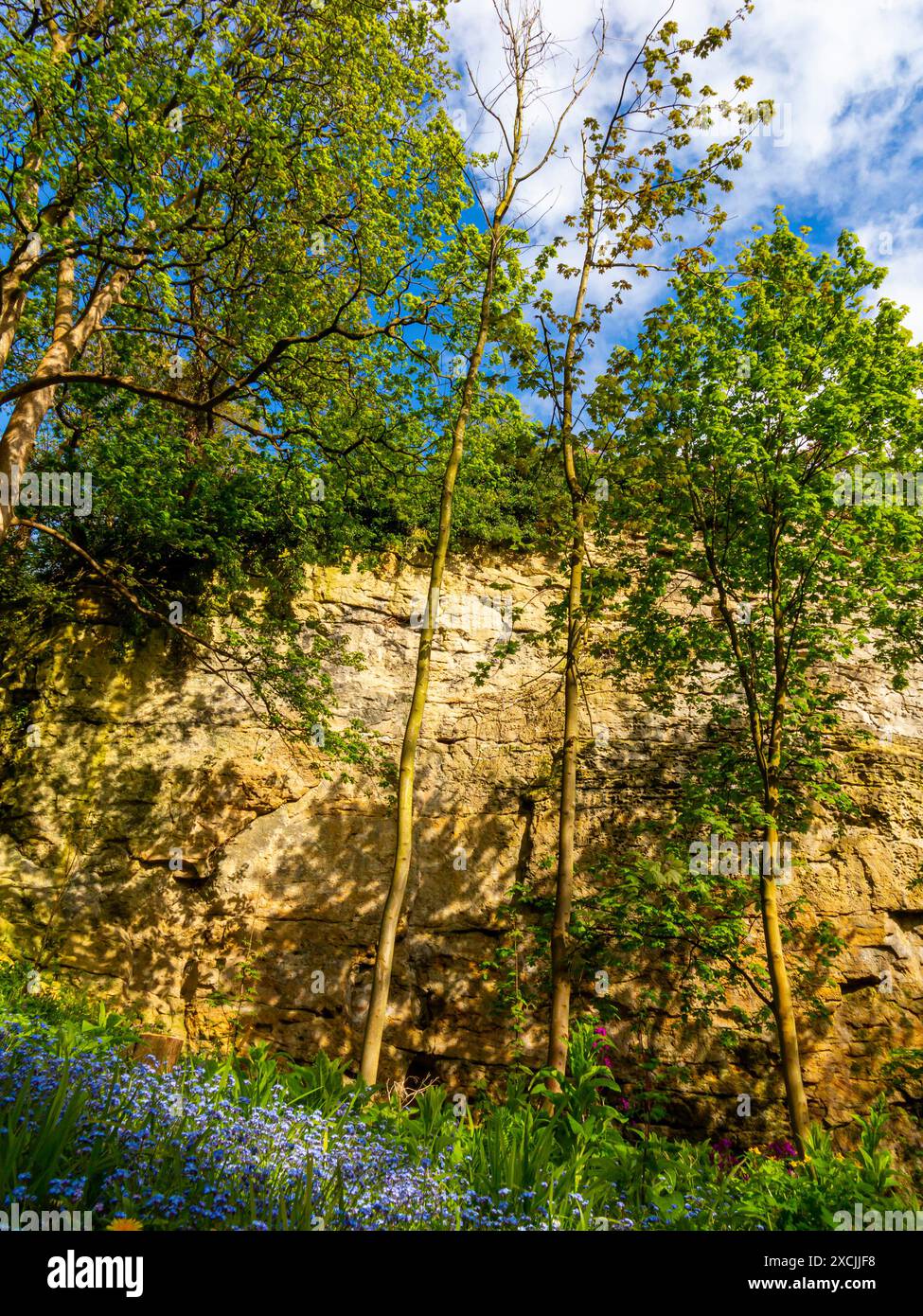 Falaises de grès à côté de la rivière Nidd dans la zone Waterside de Knaresborough une ville dans le Yorkshire du Nord Angleterre Royaume-Uni Banque D'Images