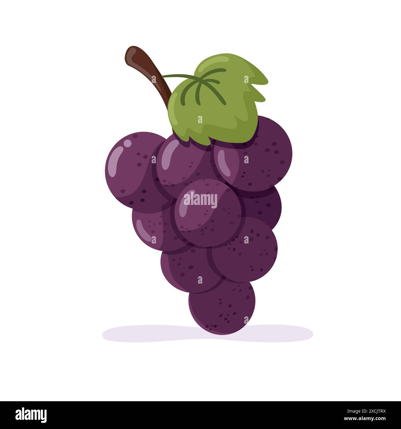 Grappe de raisins violets avec ombre Illustration de Vecteur