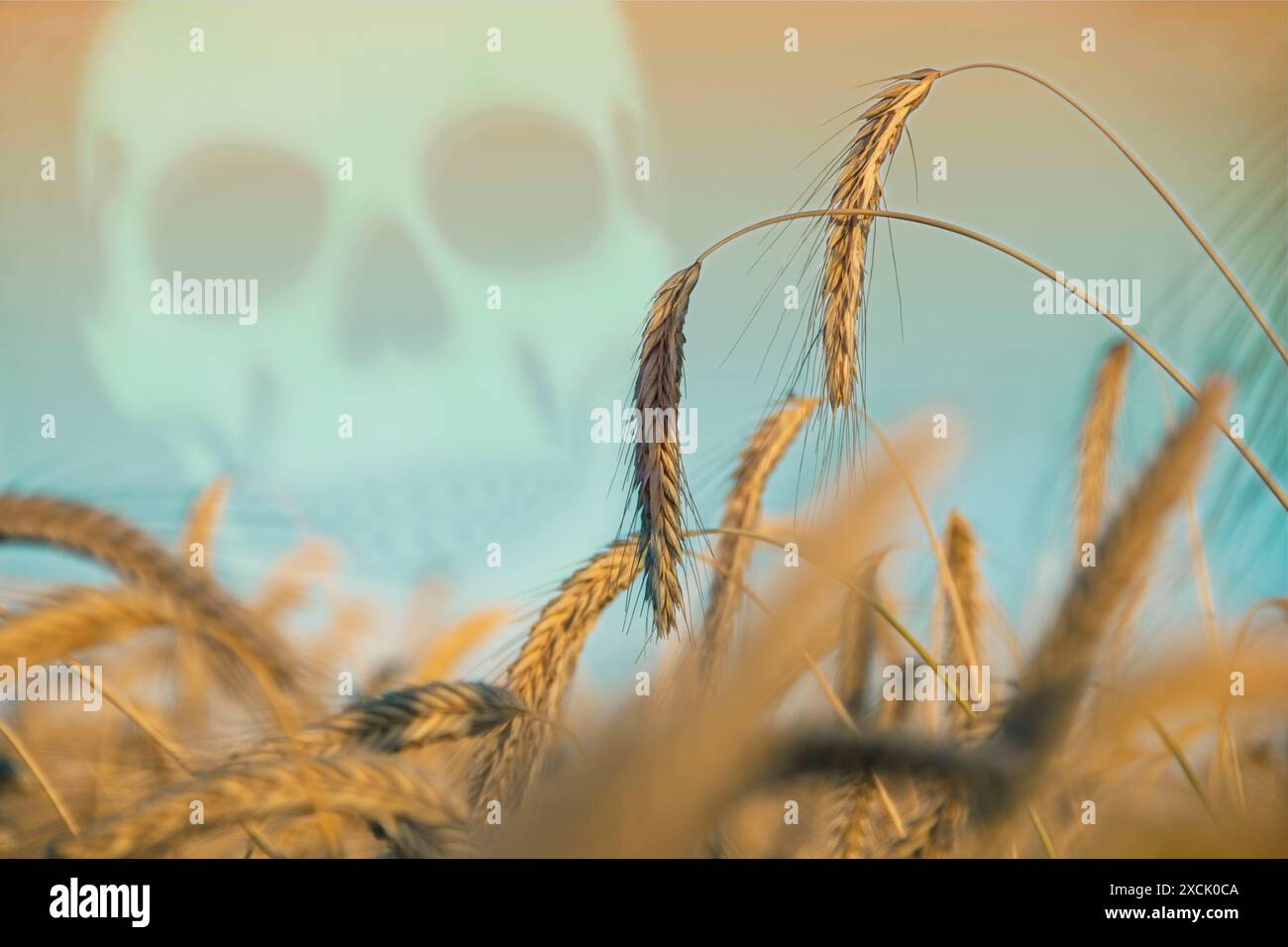 Poisons en agriculture, illustration Banque D'Images