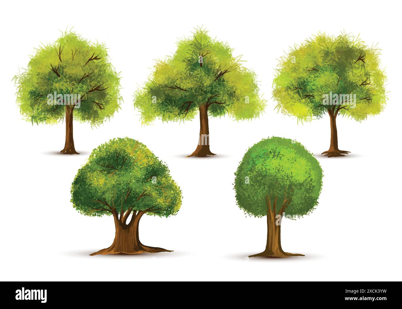 Ensemble de divers arbres d'aquarelle sur fond blanc Illustration de Vecteur