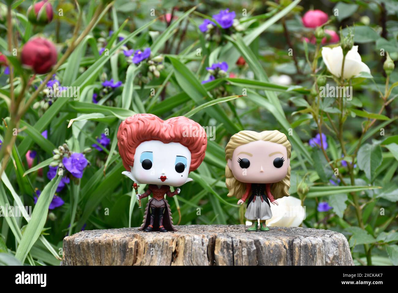 Funko Pop figurines de Reine Rouge et Alice au pays des merveilles du film Tim Burton. Fleurs bleues, rouges et blanches, jardin fabuleux, souche de bois. Banque D'Images