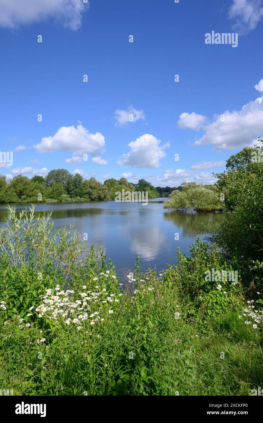 Maidstone, Kent, Royaume-Uni. Mote Park - Grand parc public près du centre-ville. River Len Banque D'Images