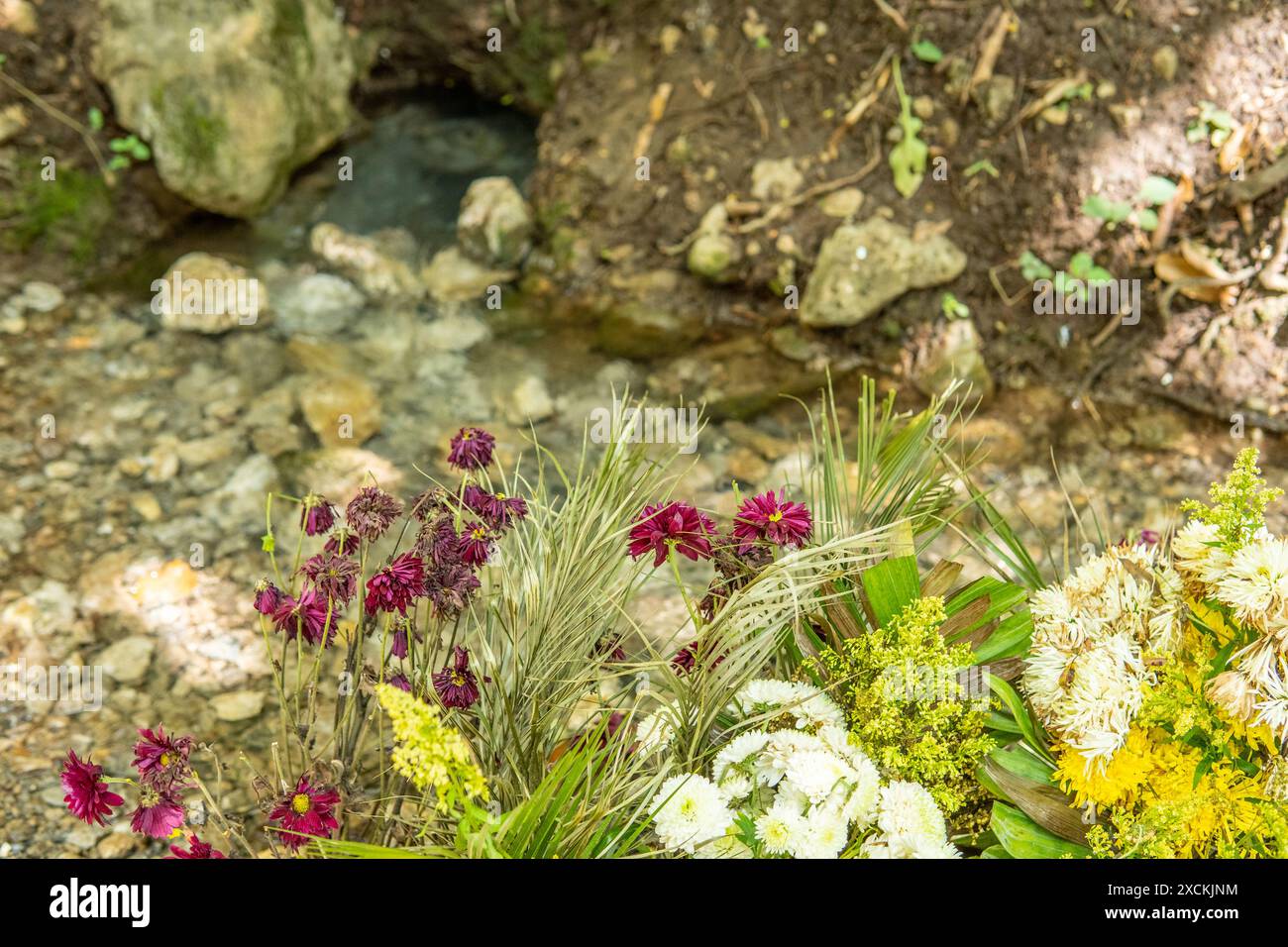 Petite naissance d'eau avec offrande de fleurs à Aguacatan, Huehuetenango, Guatemala Banque D'Images