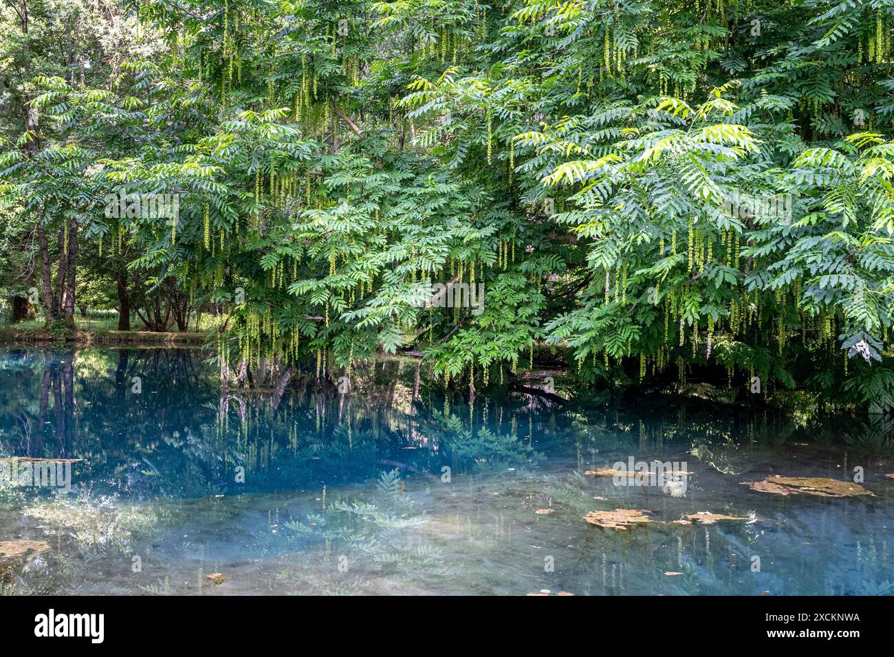 Les fontaines bleues du Château de Beaulon - Saint Dizant du Gua ; Charente maritime, France Banque D'Images
