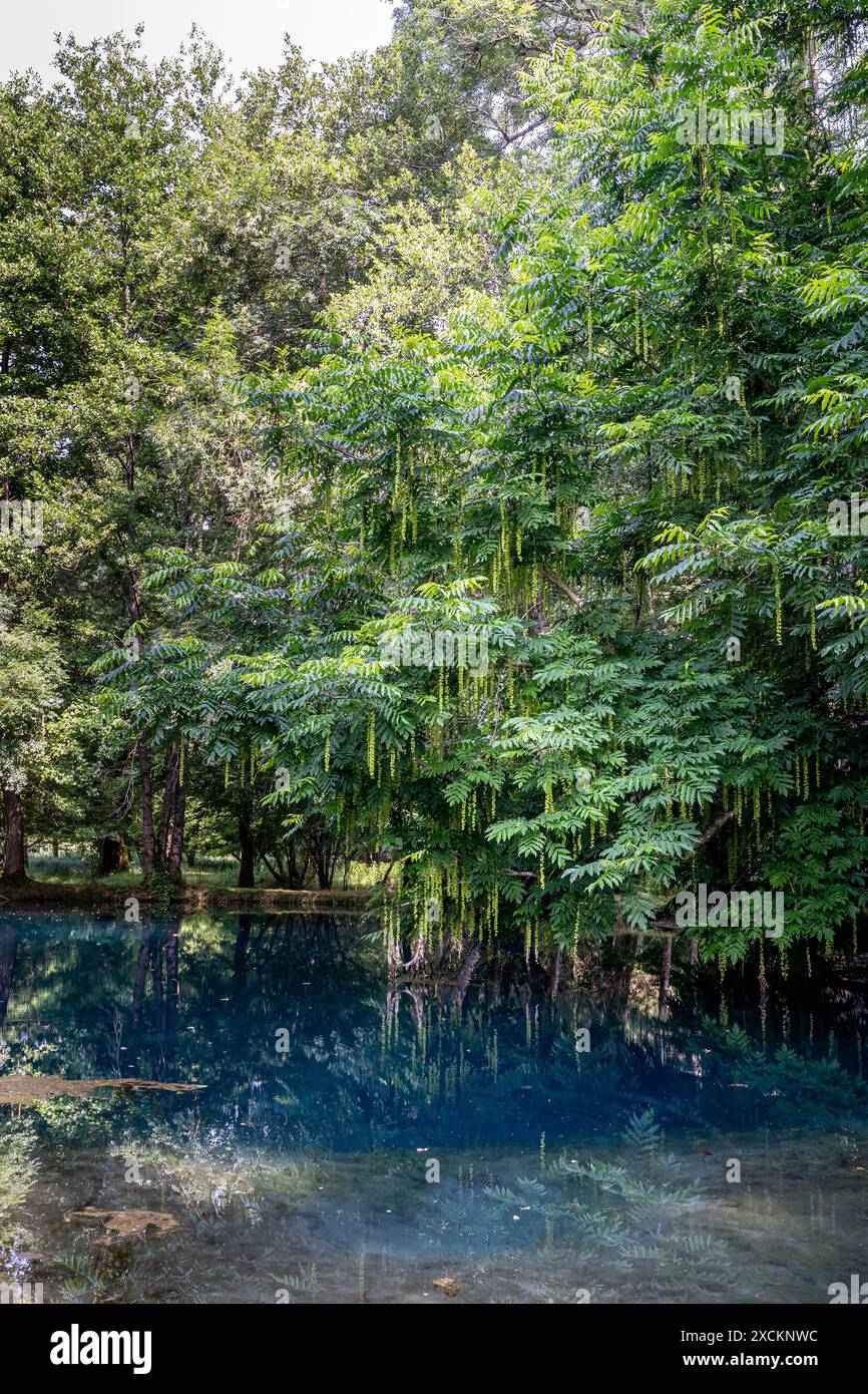 Les fontaines bleues du Château de Beaulon - Saint Dizant du Gua ; Charente maritime, France Banque D'Images
