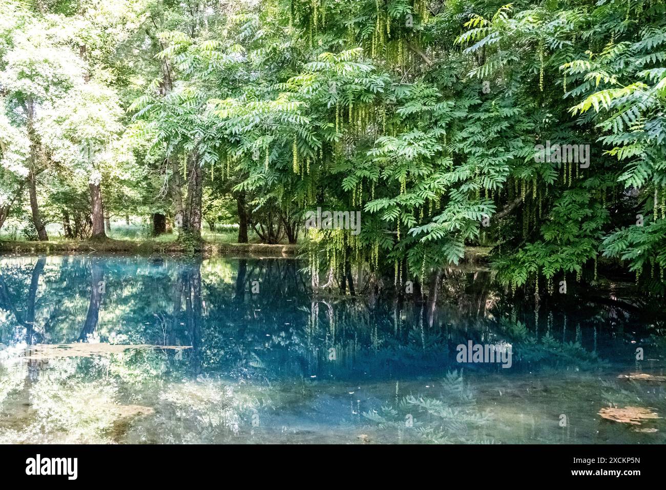 Les fontaines bleues du Château de Beaulon - Saint Dizant du Gua ; Charente maritime, France Banque D'Images