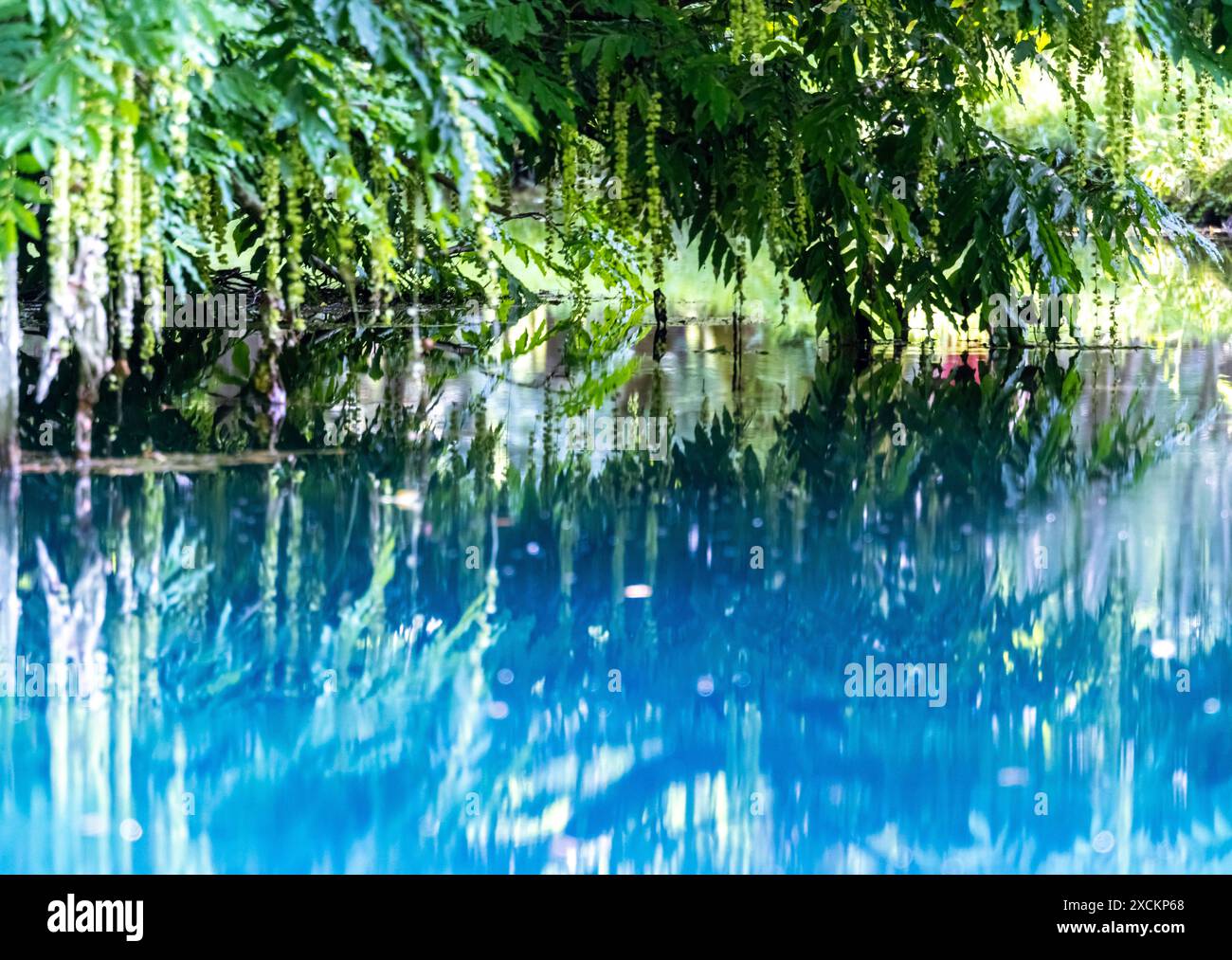 Les fontaines bleues du Château de Beaulon - Saint Dizant du Gua ; Charente maritime, France Banque D'Images