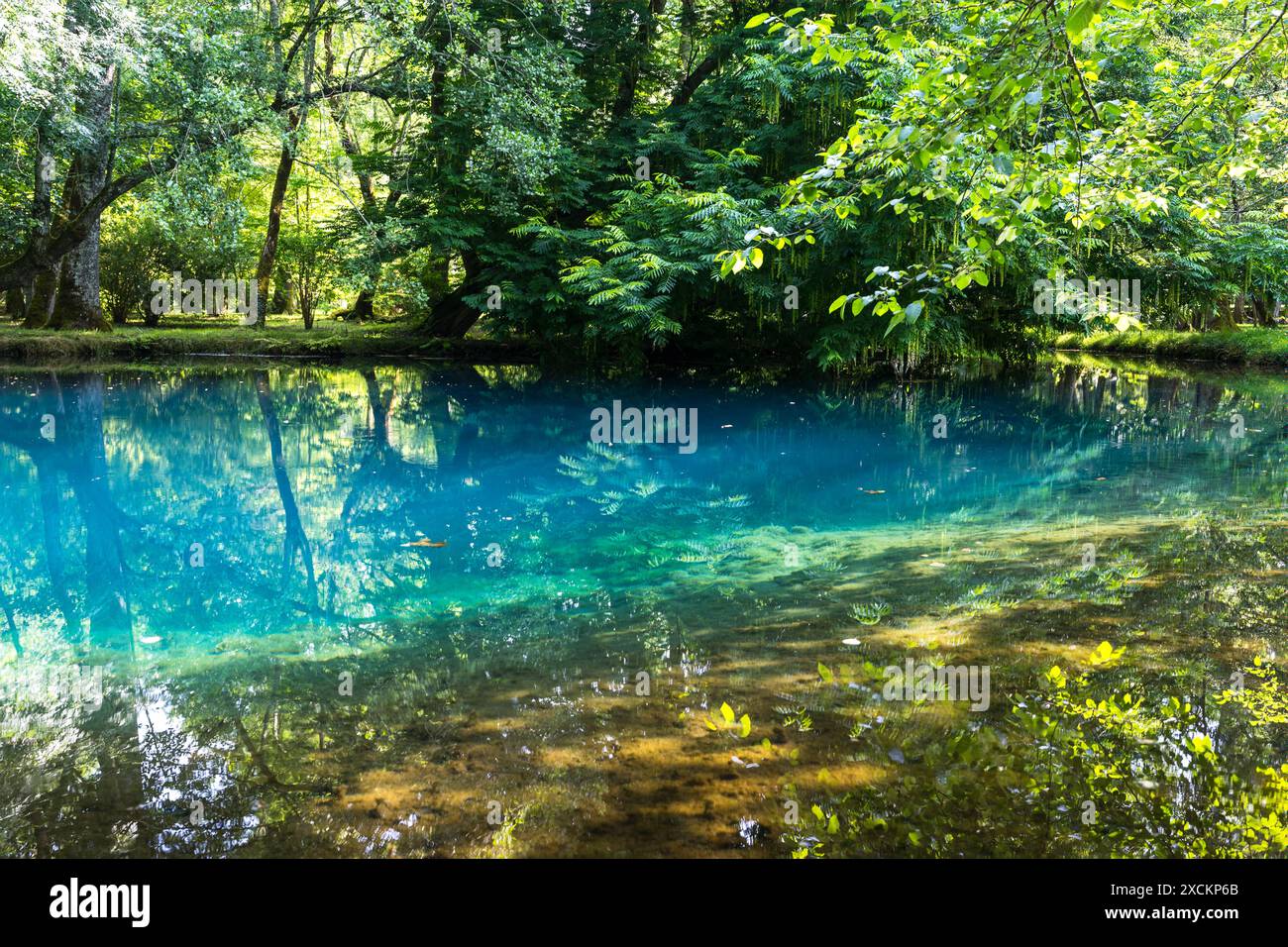 Les fontaines bleues du Château de Beaulon - Saint Dizant du Gua ; Charente maritime, France Banque D'Images