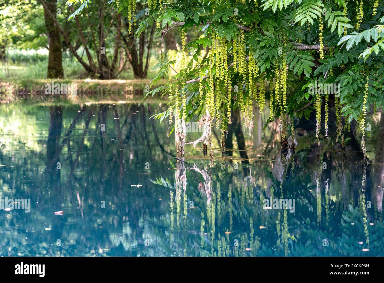 Les fontaines bleues du Château de Beaulon - Saint Dizant du Gua ; Charente maritime, France Banque D'Images