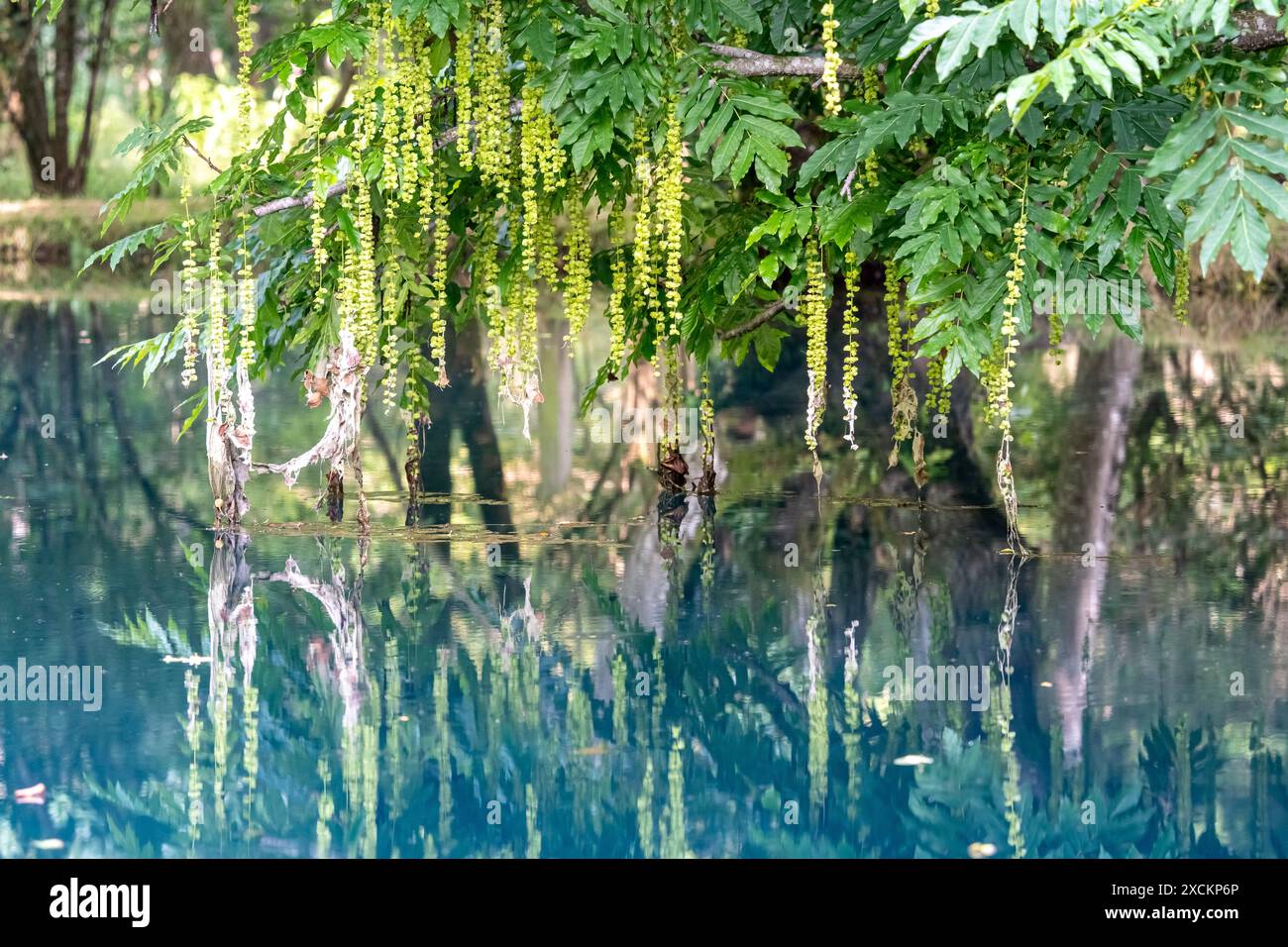 Les fontaines bleues du Château de Beaulon - Saint Dizant du Gua ; Charente maritime, France Banque D'Images