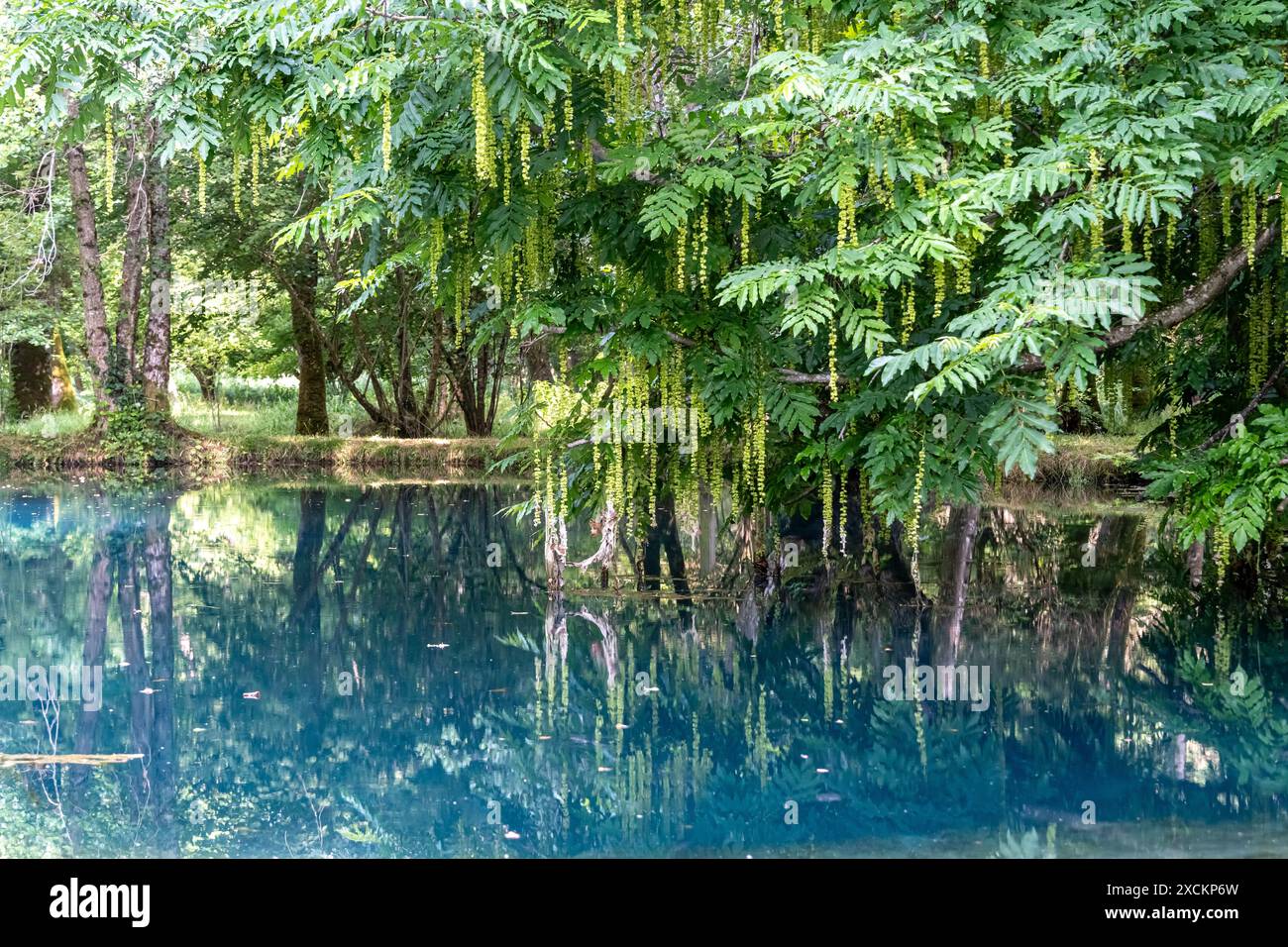 Les fontaines bleues du Château de Beaulon - Saint Dizant du Gua ; Charente maritime, France Banque D'Images