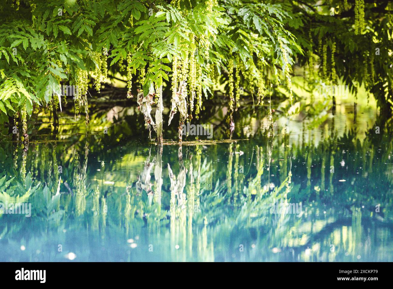 Les fontaines bleues du Château de Beaulon - Saint Dizant du Gua ; Charente maritime, France Banque D'Images
