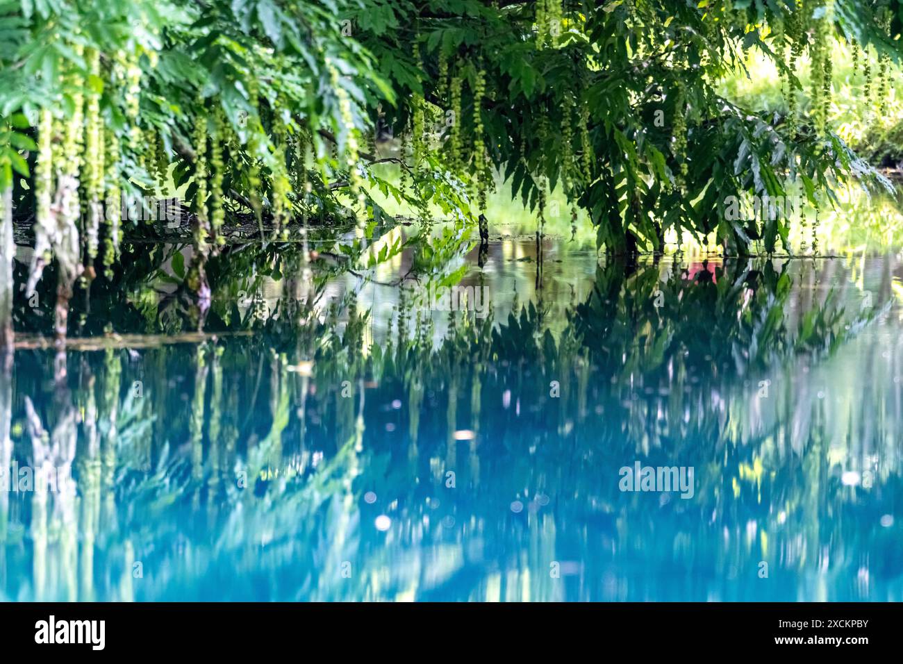 Les fontaines bleues du Château de Beaulon - Saint Dizant du Gua ; Charente maritime, France Banque D'Images