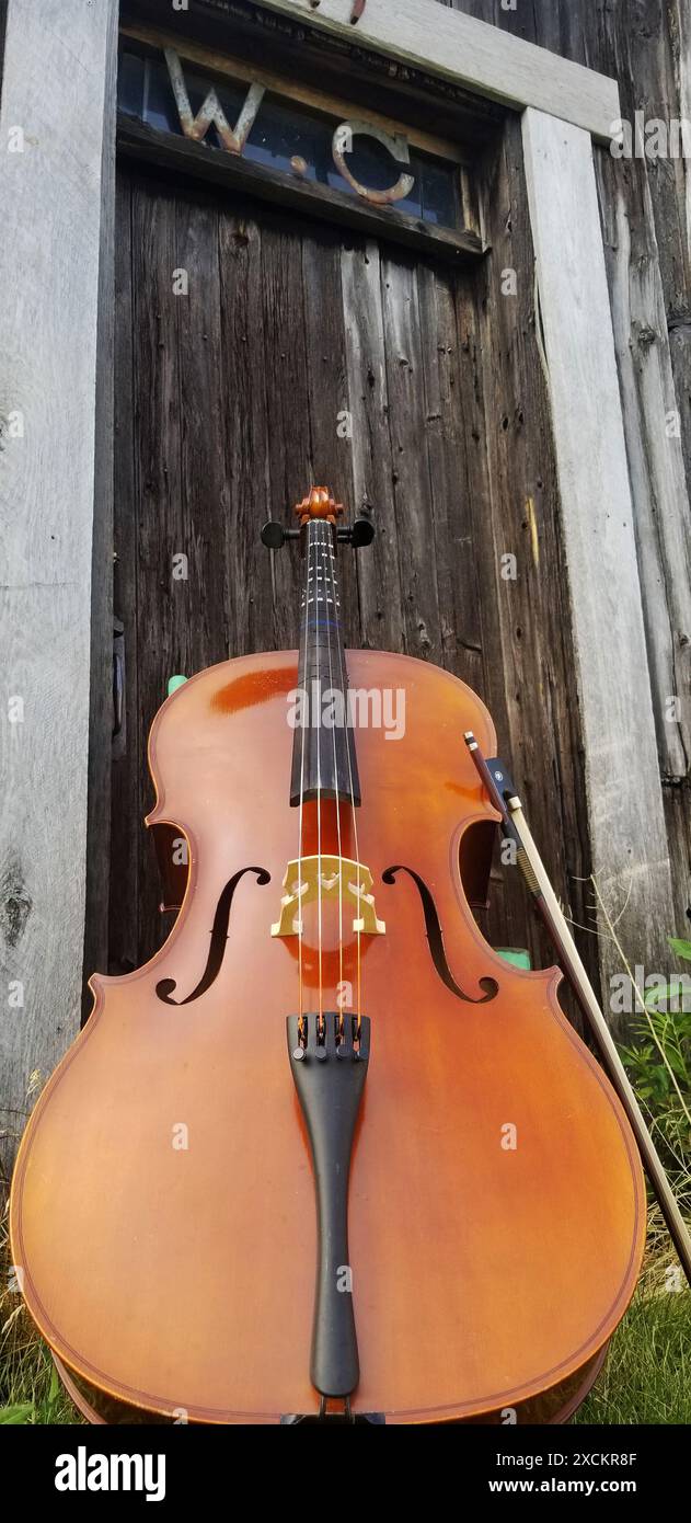 Violoncelle debout devant la terrasse rustique Banque D'Images