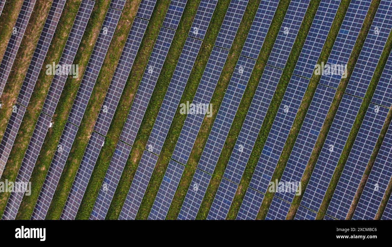Vue aérienne fermée des rangées de panneaux solaires sur le champ vert. Banque D'Images