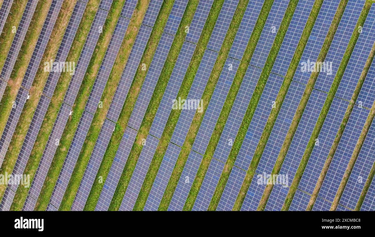 Vue aérienne directe des rangées de panneaux solaires sur fond vert. Banque D'Images