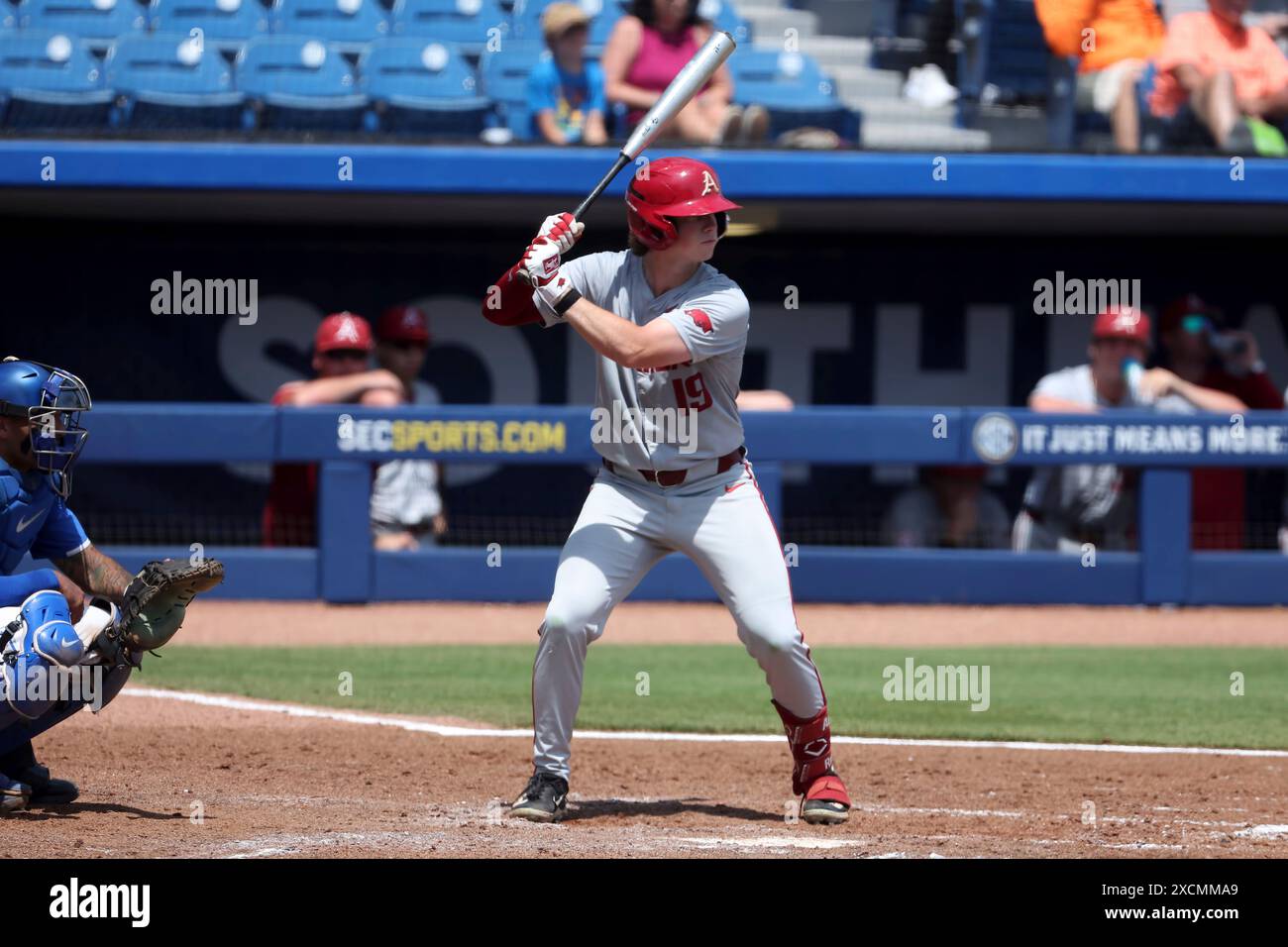 HOOVER, AL - MAY 23: Arkansas Razorbacks outfielder Will Edmunson (19) during the 2024 SEC Baseball Tournament game between the Kentucky Wildcats and the against the Arkansas Razorbacks on May 23, 2024 at the Hoover Metropolitan Stadium in Hoover, Alabama. (Photo by Michael Wade/Icon Sportswire) (Icon Sportswire via AP Images) Banque D'Images