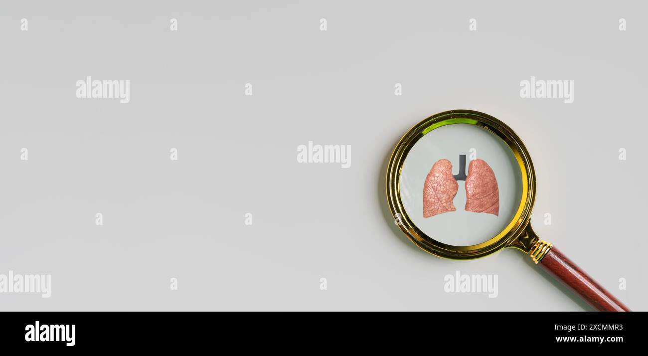 Concept médical, Loupe Focus poumons icône d'organe sur fond blanc pour le diagnostic poumons de traitement, tuberculose pulmonaire, cancer du poumon et re Banque D'Images