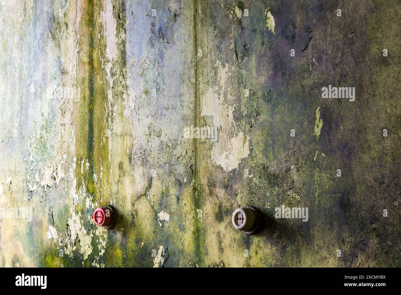 Moule vert sur un vieux mur abandonné pelable avec deux prises électriques Banque D'Images