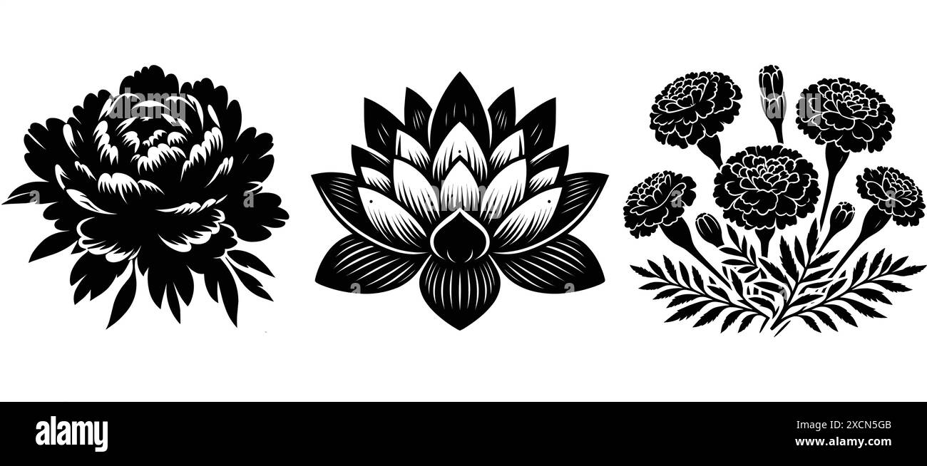 Ensemble de fleurs décoratives avec des feuilles silhouette noire isolé sur un fond blanc Illustration de Vecteur