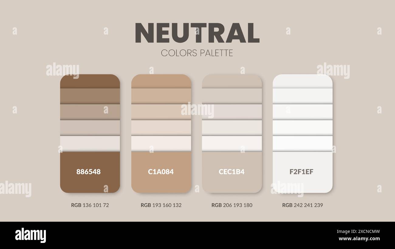 Palette de couleurs dans une collection de thèmes de couleurs neutres. Combinaison de couleurs ou modèle de tableau de couleurs. Jeu de combinaisons de couleurs RVB, HSL et HEX. couleur sw Illustration de Vecteur