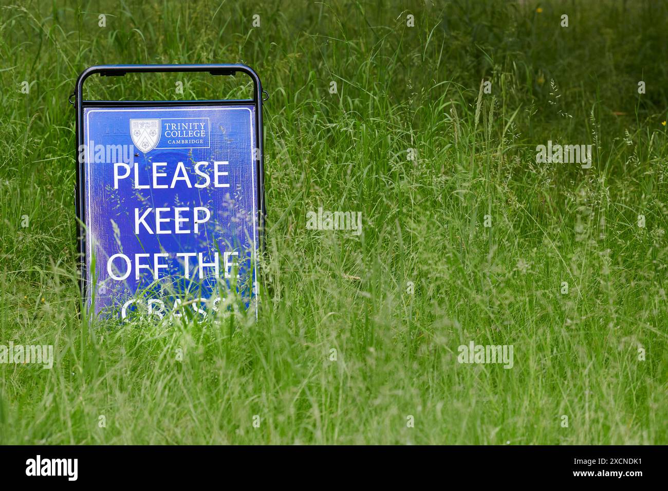 Panneau « S'il vous plaît ne pas aller sur l'herbe » sur la pelouse de Newton, Trinity College, Université de Cambridge, Angleterre. Banque D'Images