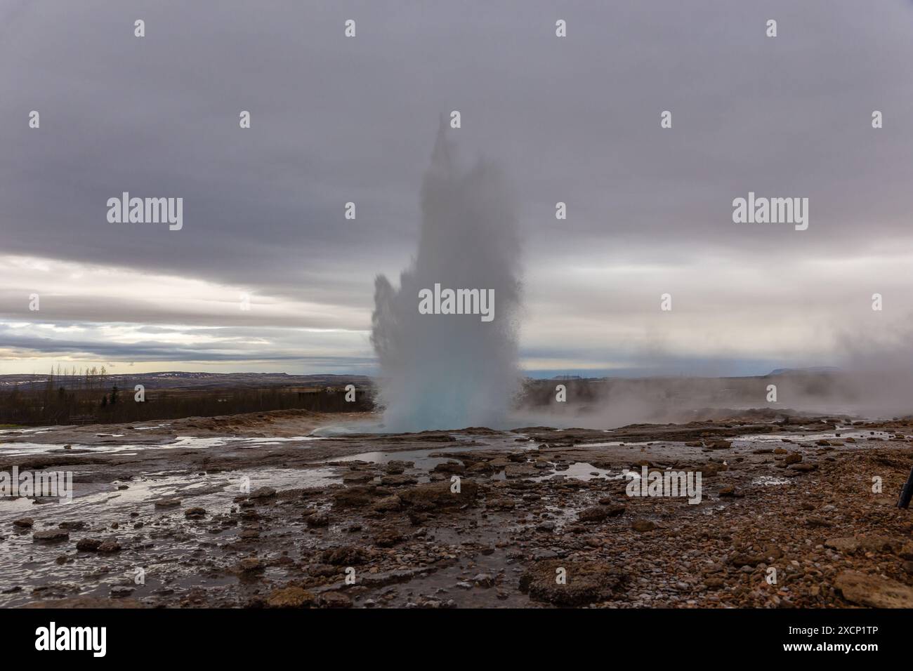 Strokkur geyser en éruption, geyser de type fontaine dans la zone géothermique en Islande, pas de gens. Banque D'Images