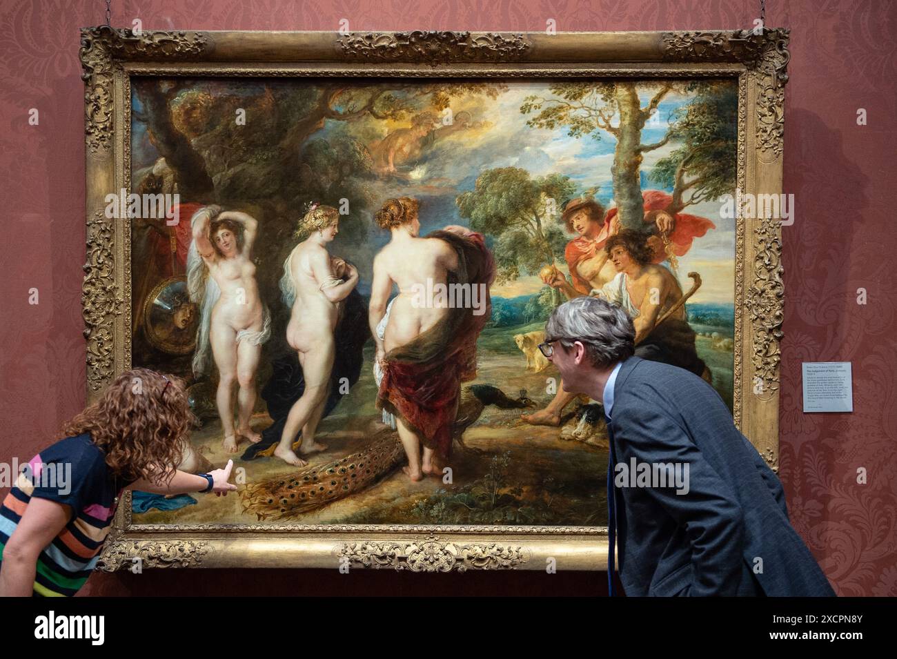 Londres, Angleterre, Royaume-Uni. 18 juin 2024. Après une restauration de 14 mois effectuée dans le département de conservation de la Galerie, le jugement de Paris de Rubens (probablement 1632'''5) revient au public le 18 juin 2024. Ce chef-d'œuvre, peint par Peter Paul Rubens (1577'''1640) dans la dernière décennie de sa vie, représente Paris faisant son choix entre les déesses Vénus, Minerve et Junon. La restauration révèle de nouvelles découvertes sur cette pièce importante au sein de la collection de la Galerie nationale. (Crédit image : © Thomas Krych/ZUMA Press Wire) USAGE ÉDITORIAL SEULEMENT! Pas pour Commerc Banque D'Images