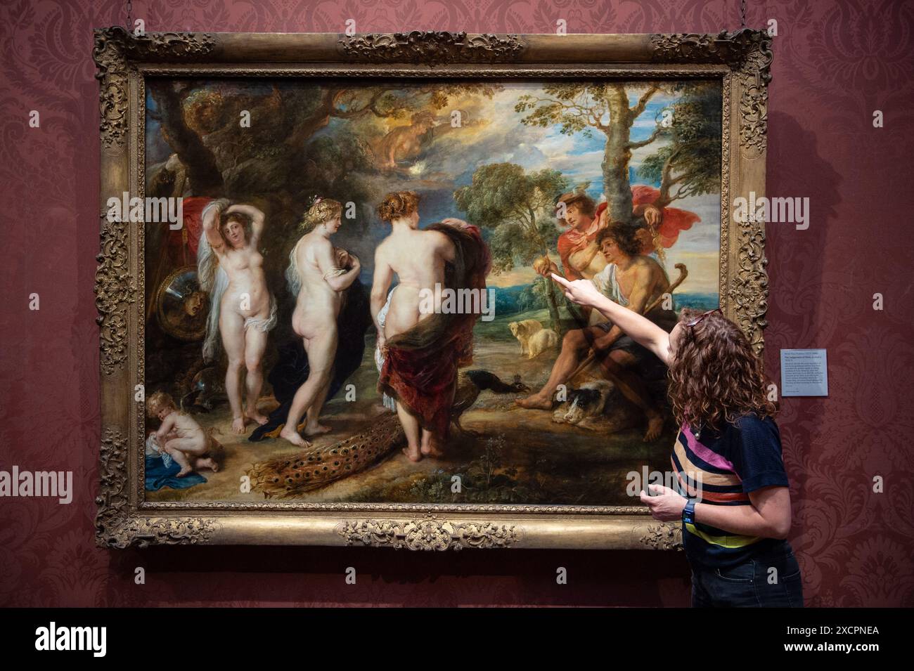 Londres, Angleterre, Royaume-Uni. 18 juin 2024. La conservatrice BRITTA NEW explique comment elle a abordé la restauration. Après une restauration de 14 mois effectuée dans le département de conservation de la Galerie, le jugement de Paris de Rubens (probablement 1632'''5) revient au public le 18 juin 2024. Ce chef-d'œuvre, peint par Peter Paul Rubens (1577'''1640) dans la dernière décennie de sa vie, représente Paris faisant son choix entre les déesses Vénus, Minerve et Junon. La restauration révèle de nouvelles découvertes sur cette pièce importante au sein de la collection de la Galerie nationale. (Crédit image : © Banque D'Images